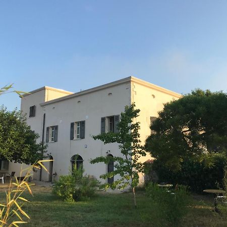 A Loghja Di Cavallo Morto 博尼法乔 外观 照片