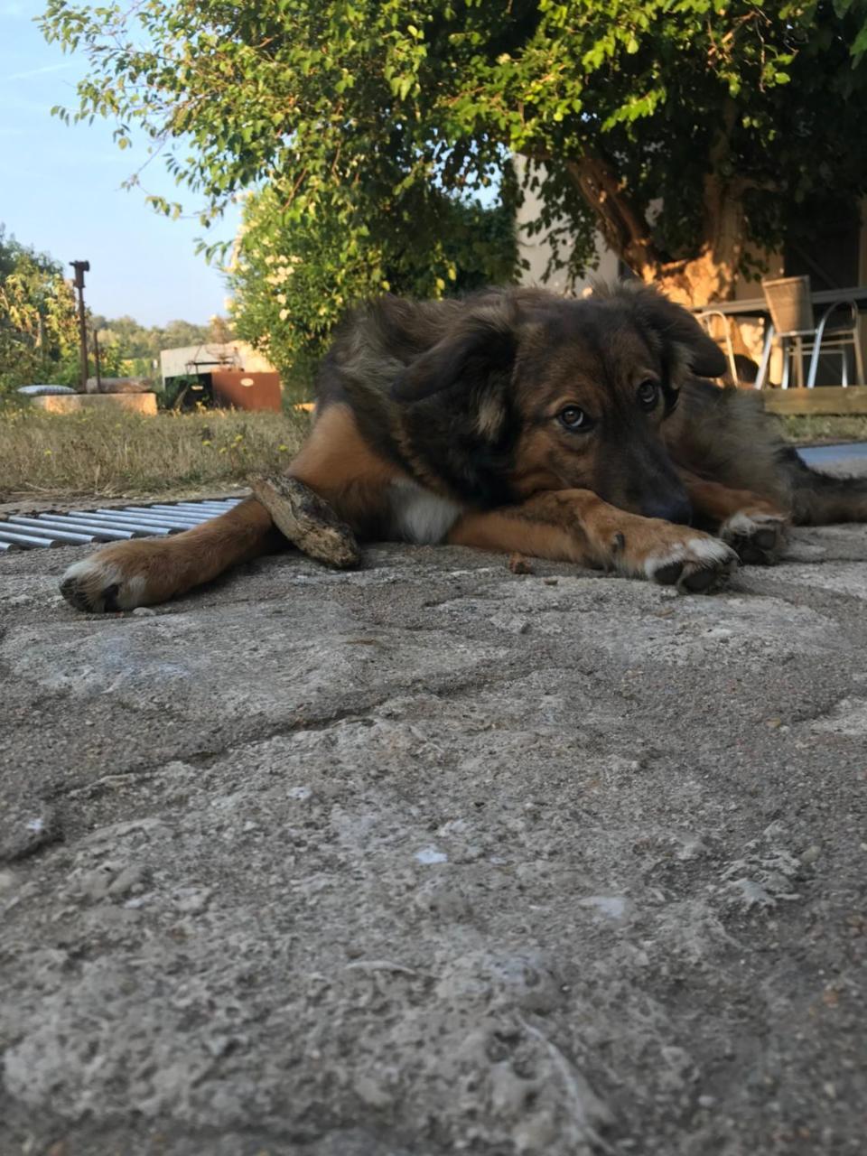 A Loghja Di Cavallo Morto 博尼法乔 外观 照片