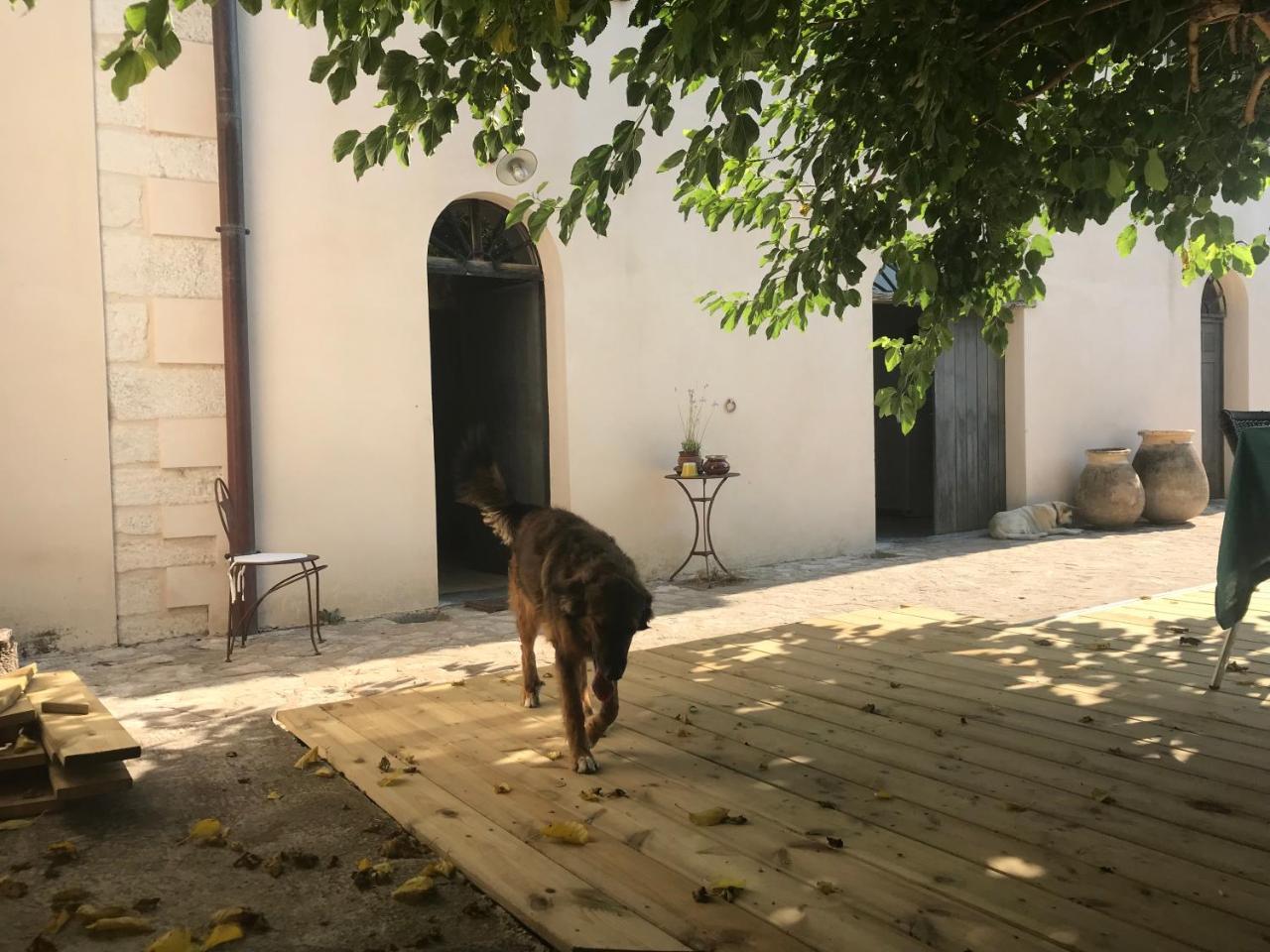 A Loghja Di Cavallo Morto 博尼法乔 外观 照片